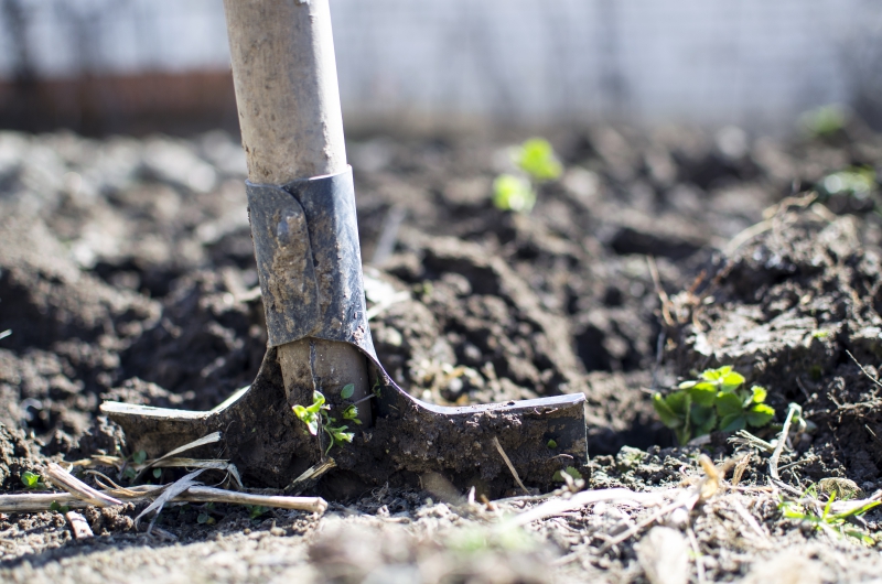 jardinerie-THEOULE SUR MER-min_equipment-2047314